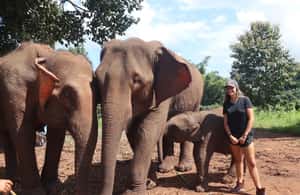 image n.3 of Chiang Mai: Elephant Sanctuary & Waterfall Group Tour activity in Chiang Mai, uploaded by supplier