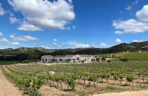 imagem n.4 de Visita privada aos Alpilles, degustações e restaurante bistronómico atividade em Les Baux-de-Provence, carregada pelo fornecedor