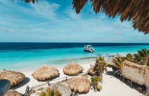 afbeelding n.4 van Klein Curaçao: Boottrip van een hele dag activiteit in Curaçao, geüpload door aanbieder