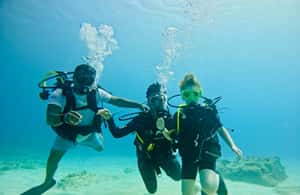 image n.4 of DISCOVER SCUBA DIVING IN LEMORNE with EasydiveMauritius activity in Mauritius, uploaded by supplier