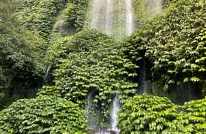 imagem n.3 de Lombok: caminhada - terraço de arroz e passeio pelas cachoeiras atividade em Sonda Ocidental, carregada pelo fornecedor
