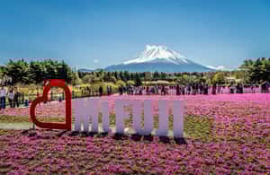 image n.3 of Mt.Fuji Private tour from Tokyo/Yokoham (Customizable) activity in Hakone, uploaded by supplier