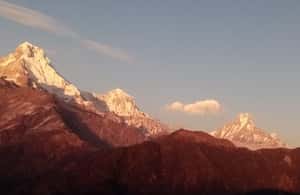 image n.3 of From Pokhara: 5 Day Poon Hill with Natural Hot Spring Trek activity in Ghandruk, uploaded by supplier