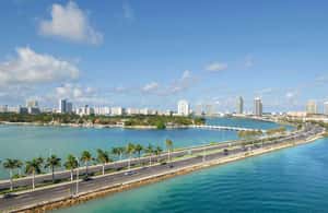 imagen n.º 3 de Desde Miami - Encantadora excursión a Cayo Hueso en grupo reducido. actividad en Cayo Hueso, subida por el proveedor