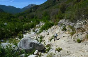 Bild Nr. 4 von Von Cala Gonone aus: Gorropu-Wanderung mit Mittagessen Aktivität in Sardinien, hochgeladen vom Anbieter