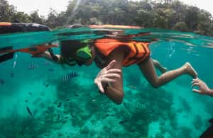 kuva n.3/Coronin saarihyppely: Coron Coron: Super Ultimate Private Tour aktiviteetista Coron, jonka toimittaja on ladannut