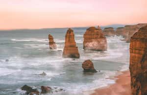 image n.4 of Melbourne: Great Ocean Road Maxi Highlights in One Day activity in Melbourne, uploaded by supplier