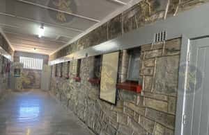 imagem n.3 de Cidade do Cabo: Ferry para Robben Island com ingresso para a prisão e passeio atividade em Cidade do Cabo, carregada pelo fornecedor