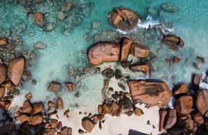 Image N°3 de Seychelles : Praslin et La Digue - Excursion partagée avec déjeuner activité à Mahé, publiée par le prestataire