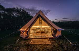 image n.4 of Tawharanui: Kiwi Spotting & Stargazing Tour w/ Optional Stay activity in Auckland, uploaded by supplier