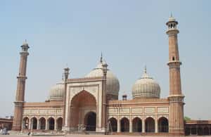 imagem n.4 de Delhi: City tour particular de 1 dia pela Nova e Velha Deli atividade em Nova Delhi, carregada pelo fornecedor