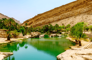 Immagine nº 3 di Muscat: tour di un giorno nel deserto di Wahiba Sands e Wadi Bani Khalid attività a Regione al-Sharqiyya, caricata dal fornitore