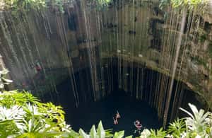 Image N°4 de Valladolid : Circuit Chichen Itza et 3 Cenotes activité à Yucatán Peninsula, publiée par le prestataire