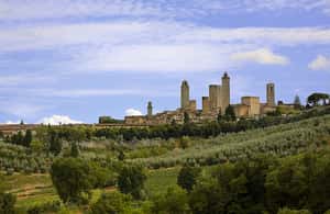 Immagine nº 3 di MERAVIGLIOSA TOSCANA: Tour dei vini di Siena, San Gimignano e del Chianti attività a Firenze, caricata dal fornitore