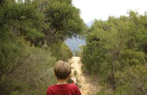 image n.4 of From Sydney: Boutique Uncharted Blue Mountains Tour activity in Sydney, uploaded by supplier