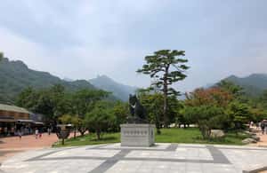 image n.3 of Seoul: Mt Seorak(Cable Car)+Sokcho Beach&Market+Observatory activity in Gangwon-do Province, uploaded by supplier