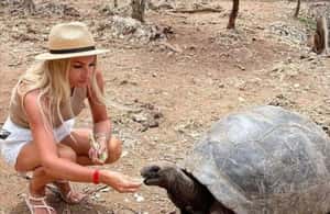 4. attēls no ZANZIBĀRA: Džozani mežs, tauriņu centrs un bruņurupuču parks aktivitātes Ungujas dienvidu reģions, augšupielādējis partneris