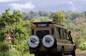 image n.4 of Arusha: 3-Day Serengeti Hot Air Balloon Safari & Flights activity in Arusha, uploaded by supplier