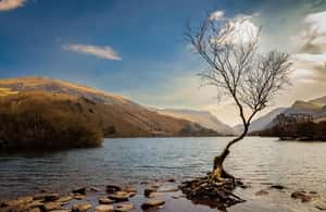 image n.3 of Cardiff, Brecon Beacons & Snowdonia Online Travel Guide activity in Conwy, uploaded by supplier