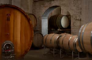 Immagine nº 4 di Degustazione di vini e assaggi tipici nel Val di Noto attività a Noto, caricata dal fornitore