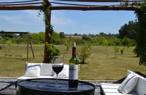 image n.3 of Winery visit for cruisers activity in Montevideo, uploaded by supplier