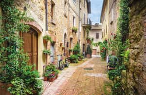 Immagine nº 4 di Da Siena: tour enogastronomico per piccoli gruppi nelle colline toscane attività a Montepulciano, caricata dal fornitore