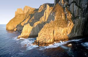 image n.3 of Tasman Peninsula Tour, Cruise & Port Arthur Historic Site activity in Port Arthur, uploaded by supplier