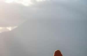 Εικόνα 3 από Μαγεία της Γαλάζιας Πόλης: Οικονομική ημερήσια εκδρομή από τη Φεζ στο Chefchaouen δραστηριότητα σε Φεζ-Μεκνές, ανέβηκε από πάροχο