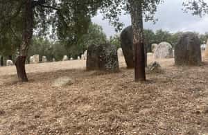 imagem n.4 de Évora: Cromeleque dos Almendres e Anta Grande do Zambujeiro atividade em Distrito de Évora, carregada pelo fornecedor