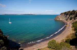 Εικόνα 3 από Όκλαντ: Motukorea Island: Half-Day Sea Kayak Tour to Motukorea Island δραστηριότητα σε Βόρειο Νησί, ανέβηκε από πάροχο