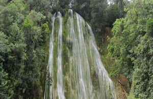 image n.4 of El Limón Waterfall Horseback Riding Tour activity in Samaná, uploaded by supplier