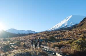 image n.4 of Tongariro Alpine Crossing: Premium Guided Hike activity in Taupo District, uploaded by supplier