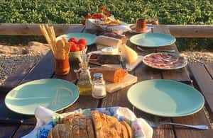 billede nr.3 af aktiviteten Fra Barcelona: 3 vingårde med afhentning på hotellet og frokost i Barcelona, uploadet af udbyder