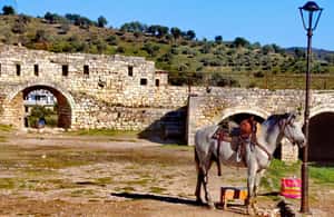 image n.4 of From Tirana: Berat UNESCO Heritage & Belshi Lake Tour activity in Berat, uploaded by supplier