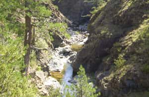 Εικόνα 3 από Ολοήμερη πεζοπορία με ξεναγό στο φαράγγι του Βίκου δραστηριότητα σε Ήπειρος, ανέβηκε από πάροχο