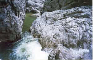 Εικόνα 4 από Ολοήμερη πεζοπορία με ξεναγό στο φαράγγι του Βίκου δραστηριότητα σε Ήπειρος, ανέβηκε από πάροχο