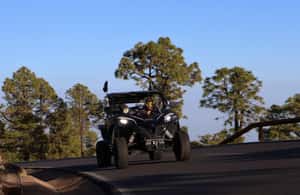 billede nr.3 af aktiviteten Tenerife: Teide Buggy Tour om morgenen eller ved solnedgang i Kanarieøerne, uploadet af udbyder