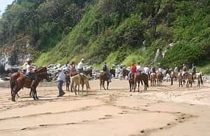 imagem n.3 de Zihuatanejo: Passeio a cavalo na praia atividade em Zihuatanejo, carregada pelo fornecedor