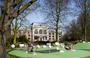 imatge núm.4 de l'activitat de Visita a peu a l'Haia a La Haia, penjada pel proveïdor