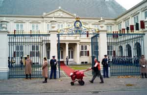 imatge núm.3 de l'activitat de Visita a peu a l'Haia a La Haia, penjada pel proveïdor