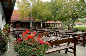 image n.3 of From Budapest: Puszta Horse Show and Countryside Visit activity in Budapest, uploaded by supplier