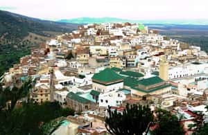 billede nr.4 af aktiviteten Fes: Volubilis romerske ruiner, Mouly Idriss og dagsudflugt til Meknes i Fez, uploadet af udbyder