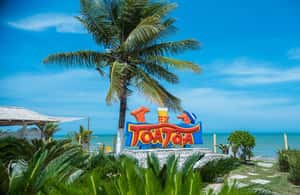 Image N°3 de Porto Seguro : Visite de la ville activité à Porto Seguro, publiée par le prestataire