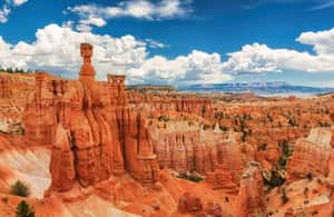 imagem n.4 de LA: Vegas, Grand Canyon, Antelope e Bryce, Zion Excursão de 4 dias atividade em Califórnia, carregada pelo fornecedor