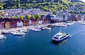 Bild Nr. 3 von Bergen: Mostraumen-Fjordkreuzfahrt mit lokalem Guide Aktivität in Modalen, hochgeladen vom Anbieter