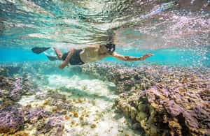 Immagine nº 3 di Oahu: biglietto d'ingresso alla baia di Hanauma + noleggio attrezzatura attività a Honolulu, caricata dal fornitore