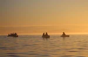 image n.3 of Kaikōura: Kayak Sunset Tour with Seal Sightings activity in Kaikoura, uploaded by supplier
