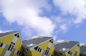 Obraz nr 4 z atrakcji 2,5-godzinna wycieczka rowerowa Rotterdam Highlights w Rotterdam, przesłany przez organizatora