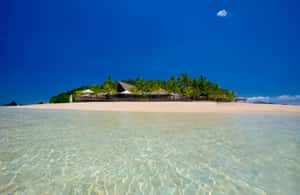 image n.4 of Fiji: Castaway Island Resort Day Cruise with Lunch activity in Central Division Fiji, uploaded by supplier
