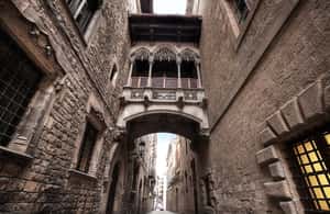 image n.4 of Barcelona: 4-Hour Private Picasso Museum & Walking Tour activity in Barcelona, uploaded by supplier